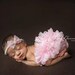 Pink Lace Diaper Cover Newborn Photography Prop with Matching Lace Headband in 0-3 Months Size, Newborn Props, Bloomers, Girl Props