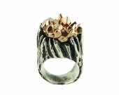 Tree Trunk Crystal Growth Ring in Silver & Rose Gold