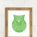 5 x 7 Owl Colored in Drawing