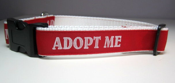 Adopt Me Dog Collar