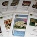 Nine New Everyday Punch Needle Patterns Some With Pre-Printed Weavers Cloth