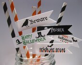 Printable Halloween Flag PDF