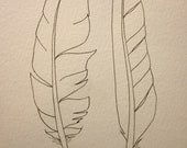 2 sea bird feathers -- original ink drawing