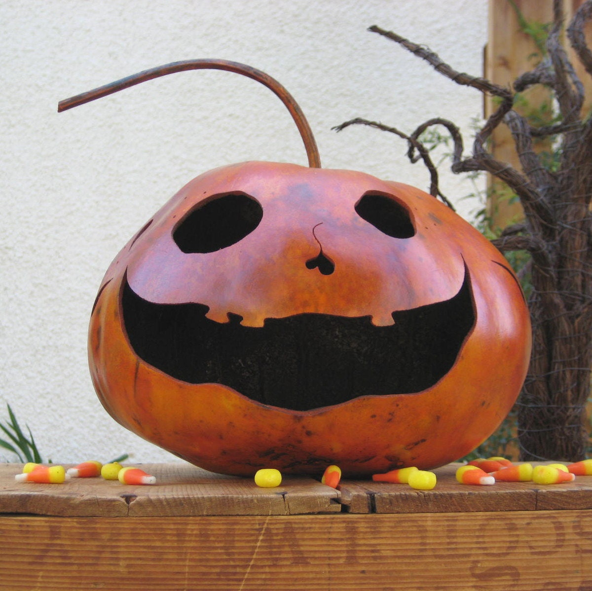 Halloween Gourd Jack- O-Lantern Natural Carved Spooky Fall Decoration Centerpiece Candy Bowl