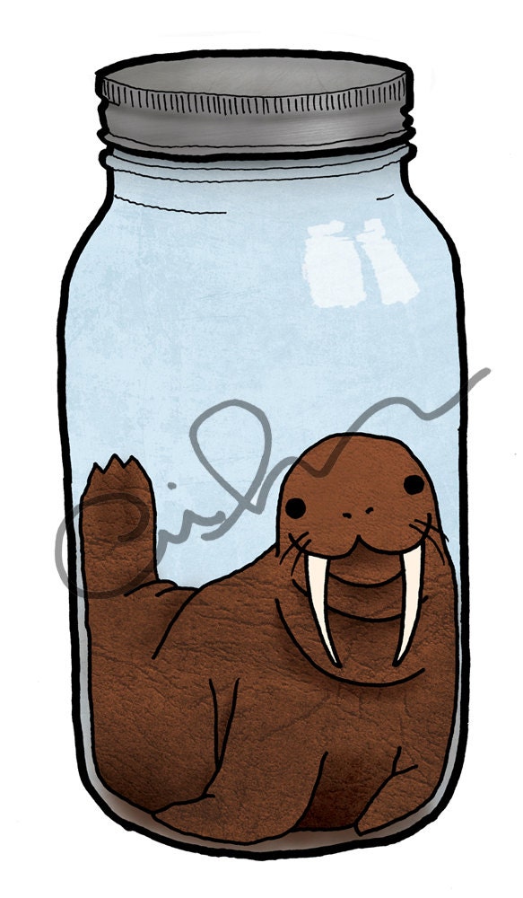 JARUS - A6 greeting card