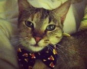 Candy Corn Halloween Cat Bow Tie Collar