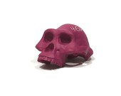 Lucy chalkboard skull