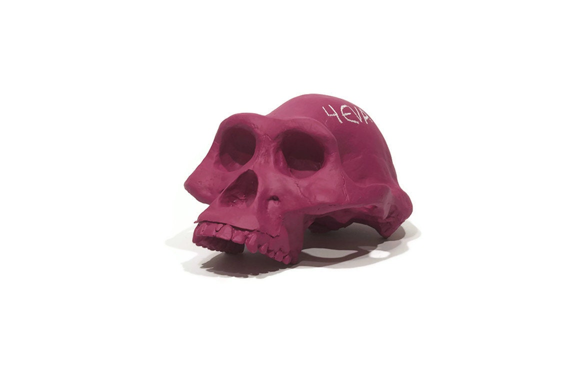 Lucy chalkboard skull