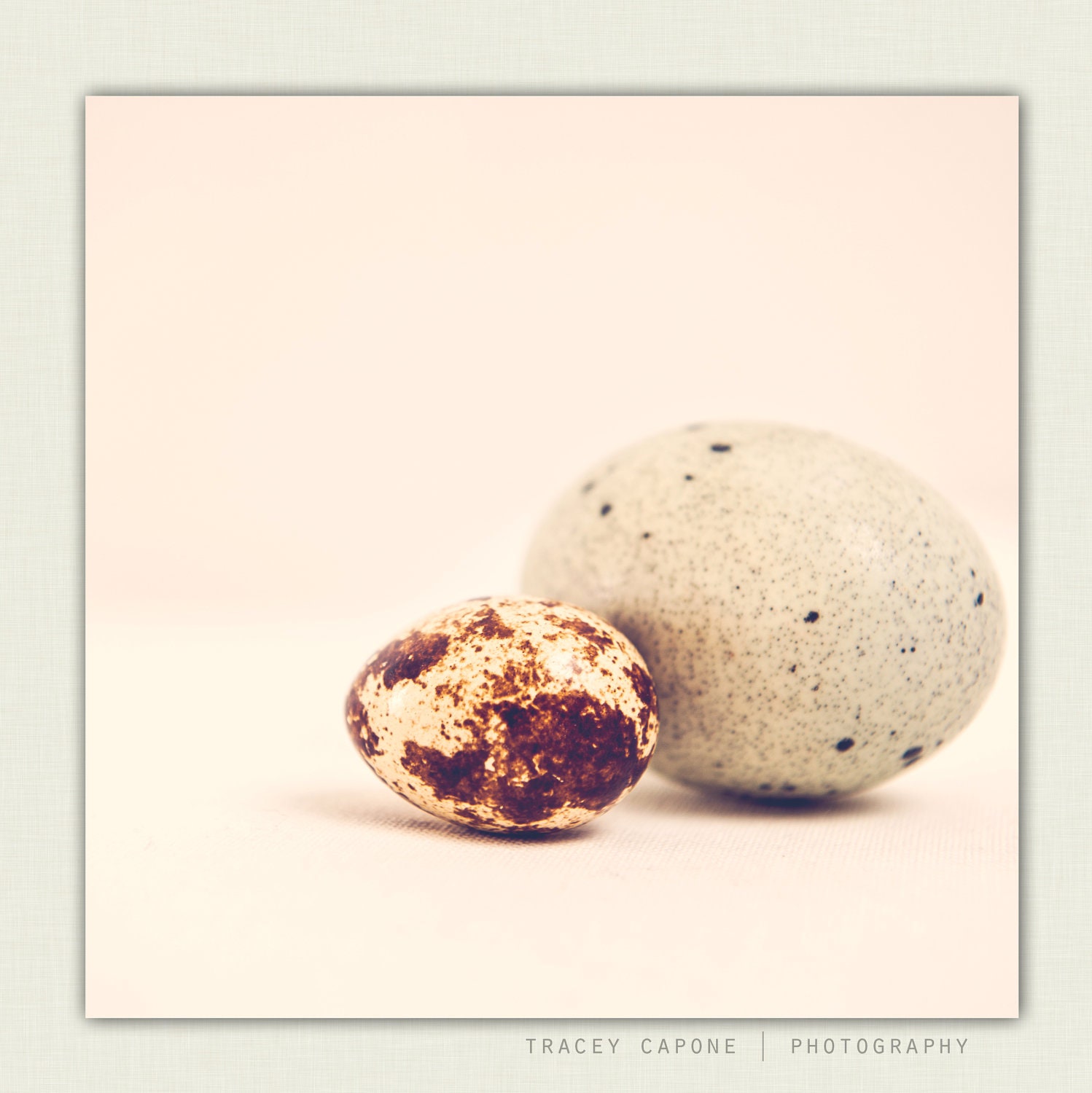 Food Photography: Neutral Kitchen Decor. Egg Photograph "Oeufs" Spring Decor. Quail eggs. Soft Brown. Robin Egg Blue. Kitchen Decor