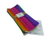 2 Swiffer Pads - Reusable Swifter Washable EcoFriendly Swifters - Double Sided Print - Hombre Stripes Pattern