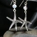 STARFISH Pisaster ochraceus unique handmade dangle earrings FREE SHIPPING