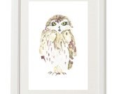 Owl Painting. Watercolor. 8" x 10" Print.  Illustration. Fine Art. Nature. White. Birds. Gift for Spring.