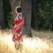 1960s Mod Dress... 60s Vintage Dress.... Autumn Dress... COULEUR CAFE (m)