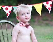 Primary Polka Dot Fabric Bunting, Garland, Banner, Pennant Decoration 11 FT / Larger 7 Inch Flags