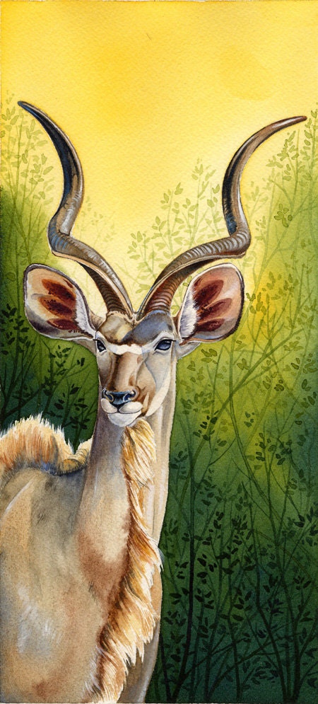 Shades of Africa - Kudu - Limited edition giclee print