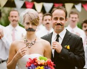 Wedding Veil - Birdcage Veil - Ready To Ship