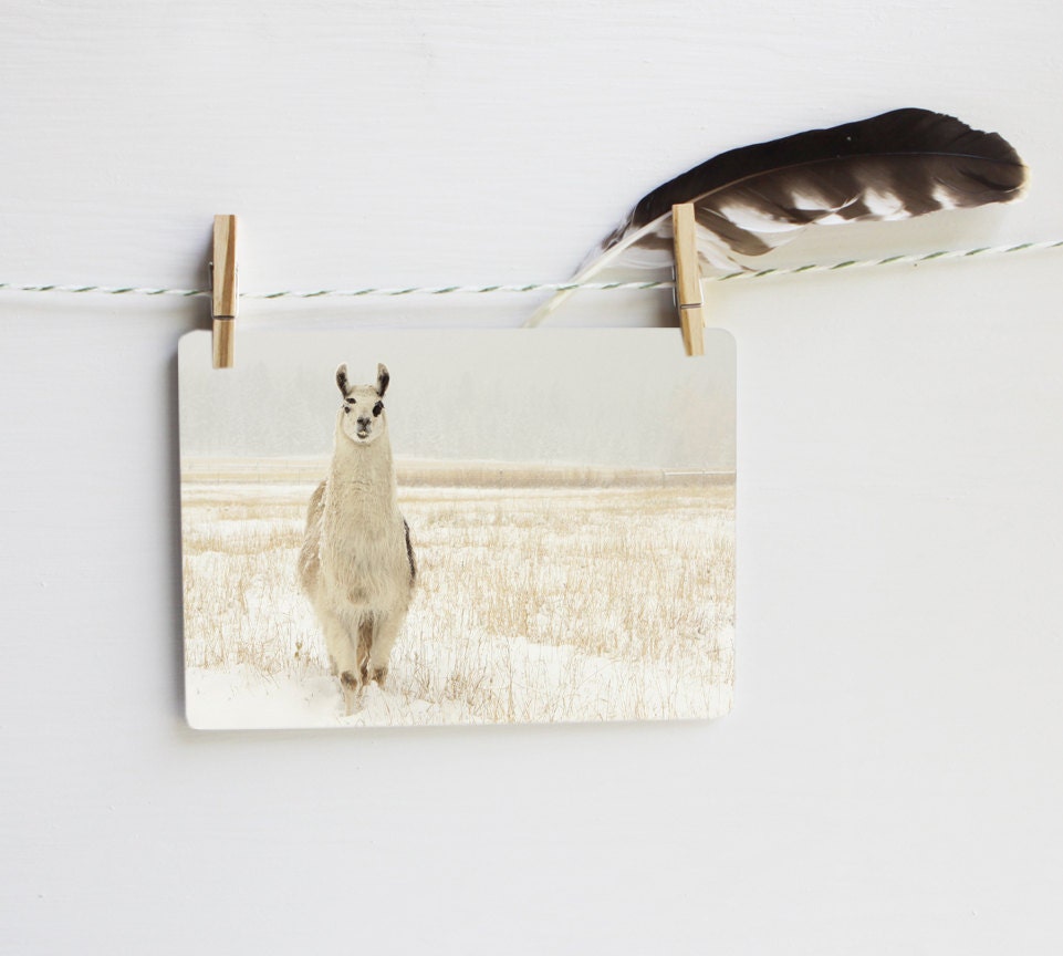 Silver Llama TWO (2) card set
