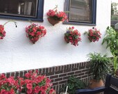Ceramic Plant pot Vertical gardening Bowl, Summer Outdoors TerraCotta Garden decor, Wall Pocket Sconce Zen garden IN STOCK