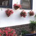 Ceramic Plant pot Vertical gardening Bowl, Spring Outdoors TerraCotta Garden decor, Wall Pocket Sconce Zen garden floral accessories