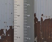 Ruler Growth Chart/ Oversized Ruler