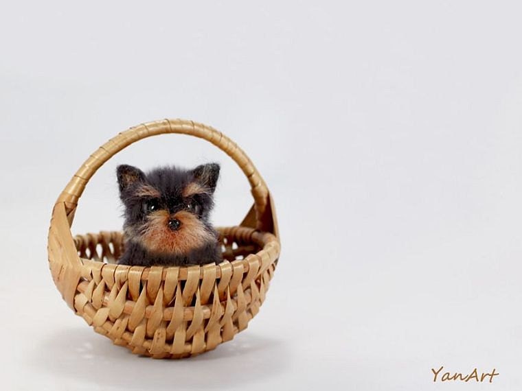 Yorkshire Terrier - Custom Realistic Needle Felted Dog / Pet Portrait Sculpture - OOAK - Breed Yorkshire Terrier - Yorkie Puppy