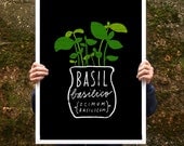 Basil Herb Italian Green Kitchen Poster print  20"x27" - archival fine art giclée print