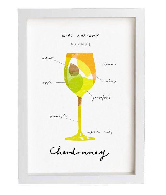 Art for wine lovers - Wine Anatomy print - Chardonnay Illustration - 11"x15 - archival fine art giclée print