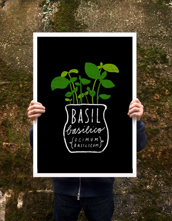 Basil Herb Italian Green Kitchen Poster print 20"x27" - archival fine art giclée print