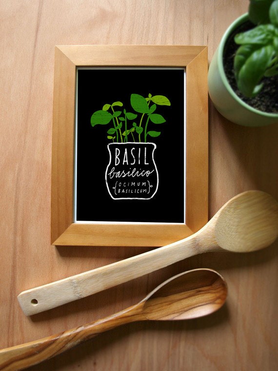 Basil Herb Print - Mediterranean Garden Art - high quality fine art print