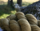 Golden Maple Sugar Romney Yarn