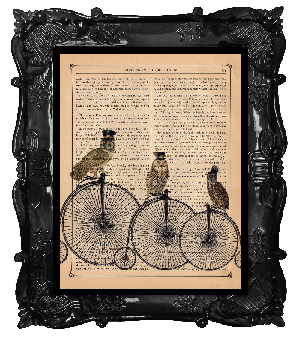 TOP HAT OWLS on a Penny Farthing Bicycles bikes print over an antique vintage dictionary page book art steampunk owl print
