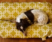 MEGA Deluxe Large Bunbed Dog bed  - Mod Green and White Squares