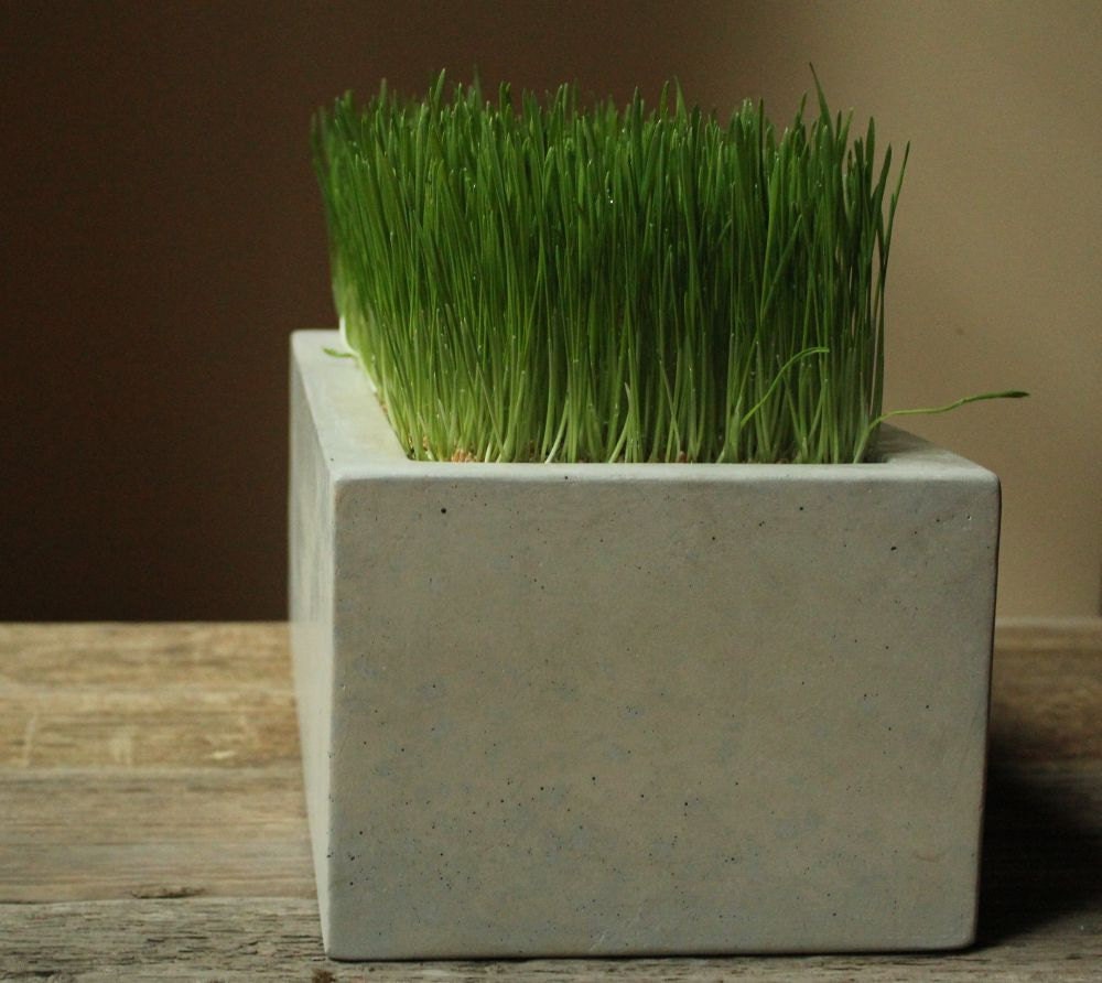 Concrete Box Planter