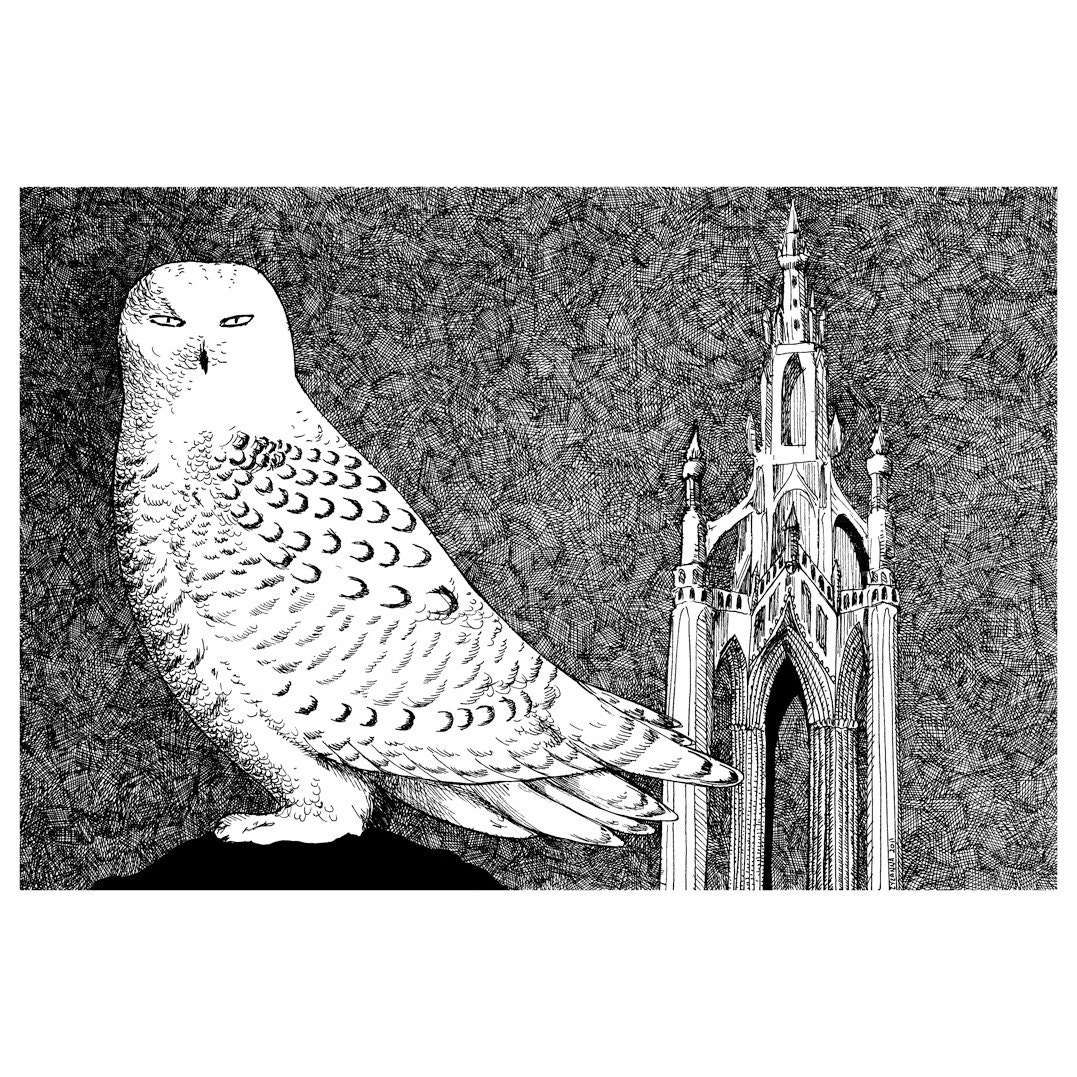 Snow Owl print of an Original Illustration Scott Monument Edinburgh