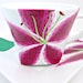 Stargazer Lily Teacup and Saucer
