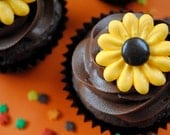 Royal Icing Flower Cupcake Topper-  Sparkling Wild Sunflowers with Brown Milk Chocolate Candy Center (24)