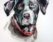Custom PET DOG or CAT  9x11 inch portrait