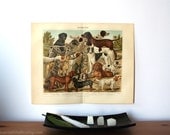 Gundogs Antique Original 1896 Lithograph from Vintage Dictionary OOAK One of a kind