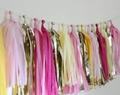Tissue Tassel Garland-18 tassels-Pink Lemonade