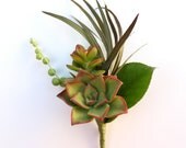 Succulent Boutonniere