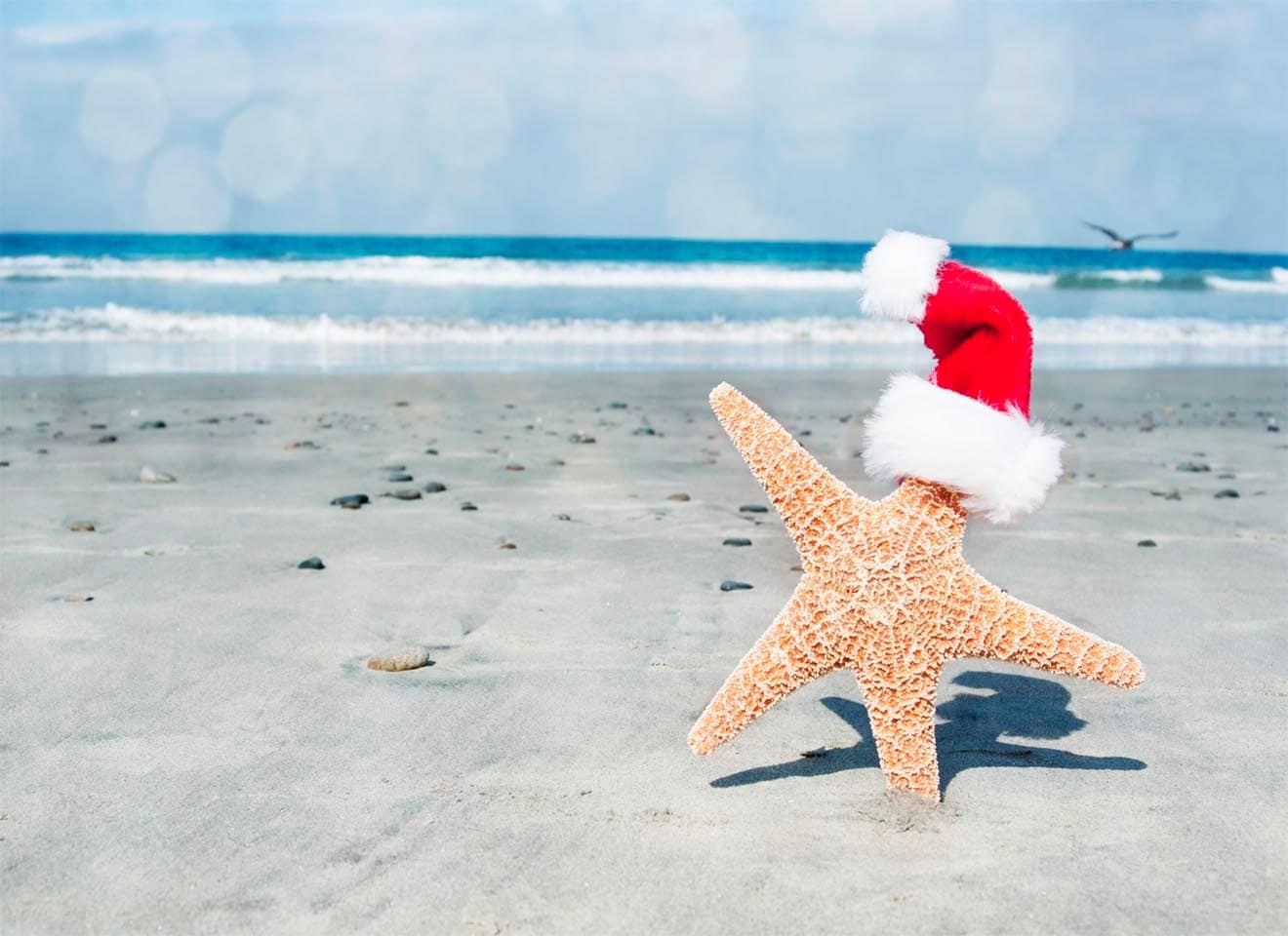 Pin by Wakarimasen on S M I L E | Beach christmas, Christmas photo