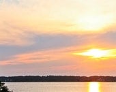 Wild Assateague Pony at Sunset 8 x 12 Print