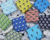 Barry Beaux Pocket Square