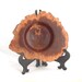 Australian Coolibah Burl Winged Natural Edge Bowl