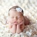 SALE - Leighton Heritage Newborn Posing Photography Prop Perfect Bean Bag Basket Stuffer Rose Fabric Backdrop Fluttery Layering (Champagne)