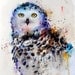 SNOWY OWL Large Watercolor Print by Dean Crouser