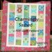 PDF Quilt Pattern Charmingly Sashed Charm Pack Baby and Throw Size