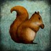 The Squirrel - Illustration print (size 4.7" x 4.7")