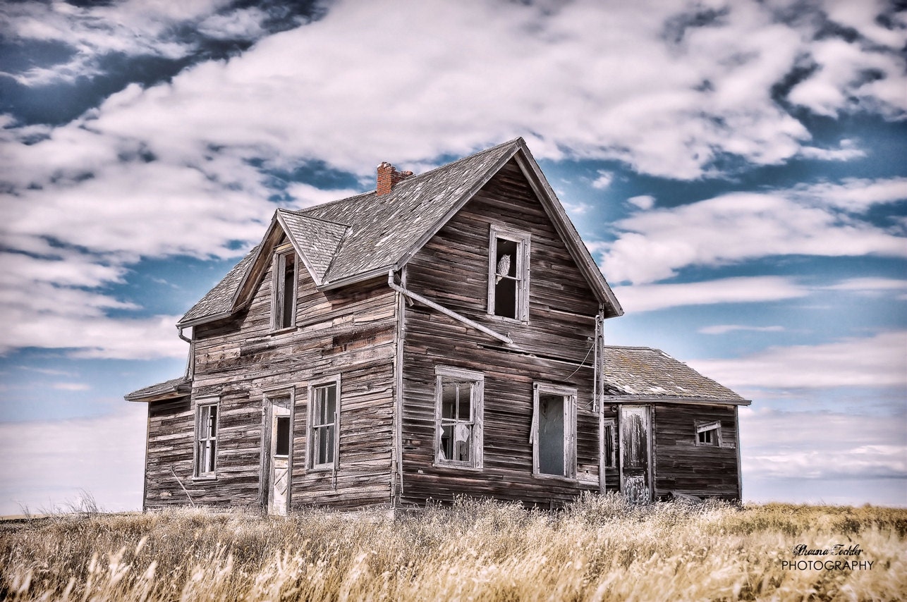 Purveyor of all Things Wonderful  12x18 Fine Art Photo