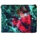 Eagle Nebula iPad 2/iPad 3 Cover